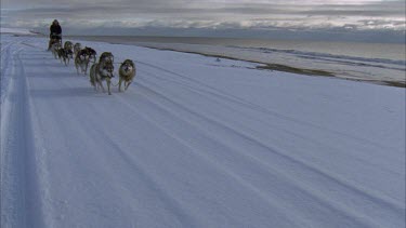 man riding a sleigh led by a number of husky dogs