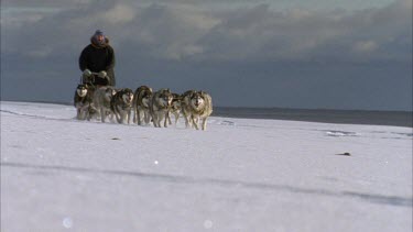huskies running towards camera, leading man on sleigh across the snow in high speed