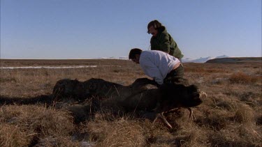 Two Inuit hunters trying to turn over dead moose.