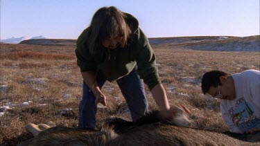 Inuit hunter removing flesh from dead Moose