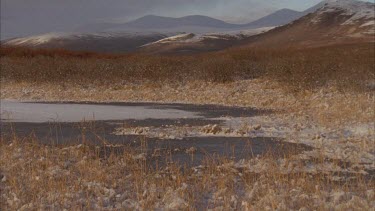 River running through snowy banks, mountain in background