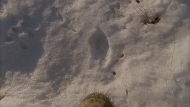 Feet of tracker as he walks on snow ground