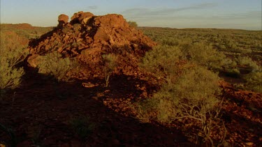 WS scenic of shrubs and scattered bush in foreground, with orange dirt ground rocky hills in background