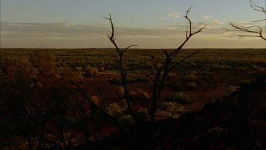 WS silhouette of large boulder and barren tree against a low light blue sky