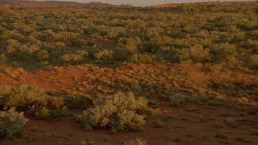 pan across arid plains to red boulders