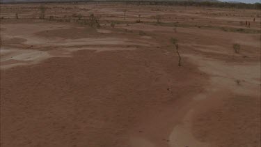 aborigines walk across red sand