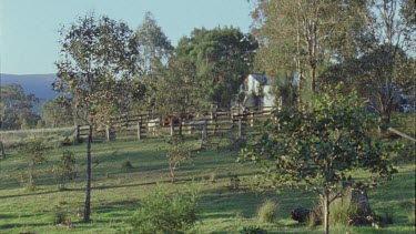 Farm and pasture