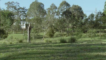 Farmland and pasture