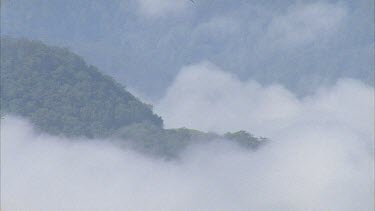 Misty mountain valley