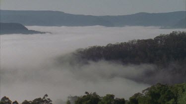 Foggy mountain valley