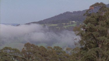 Fog in a mountain valley