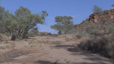 Dry landscape