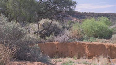 Dry landscape