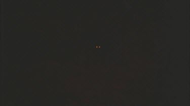 Glowing eyes of a Feral Cat at night