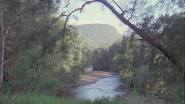 Tranquil stream through a forest