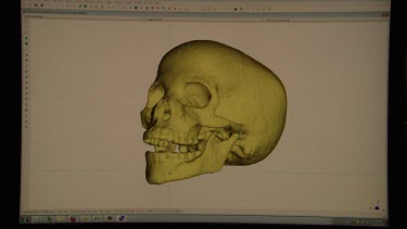 Computer generating a graphic of modern man's skull