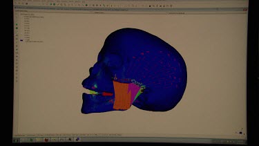 Computer generating a graphic of modern man's skull
