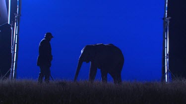 African elephant mammal baby infant calf ranger trainer movement night