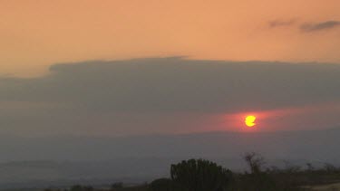 giraffe tall lanky mammal moving slowly leaving  beautiful sunset bright orange perfect dusk