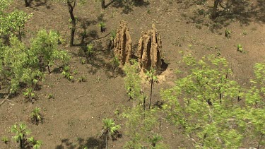 Northern Territory. Termite mound.