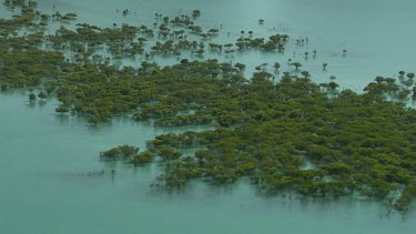 Flood plain under flood. Wet Season. Tropical Australia. Dampier Peninsula.
