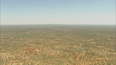 Aerial. Tropical scrub. Dry grassland area with sparse trees, bordering on true desert. Dry river beds etched into the Earth. A dam or water reservoir, surrounding land looks very arid.
