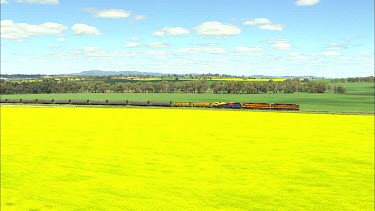 Goods train railway and canola field, Manildra.  Also called rapeseed; oil seed rape or rapaseed.