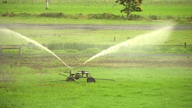 Irrigation of cultivated farming lands using overhead sprinkler system - spray irrigation. Medium Shot