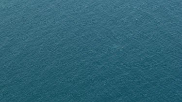 Big wide shot of ocean with whale