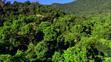 Aerial over canopy of tropical rainforest, north eastern Australia, Queensland. Daintree.