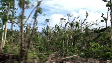 Tracking shot through cyclone destroyed rainforest vegetation habitat.