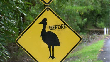Tilt Up Close up road sign of Cassowary crossing. Tilts up to another sign with picture of dead cassowary, victim of road kill.