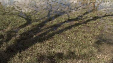 BOWRA Lagoon 02