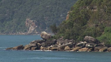 Patonga & Pearl Beach 1