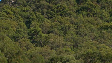 Mt Coonowrin from Old Gympie Rd nearest tilt up