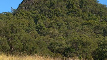 Mt Coonowrin from Old Gympie Rd nearest tilt up wide