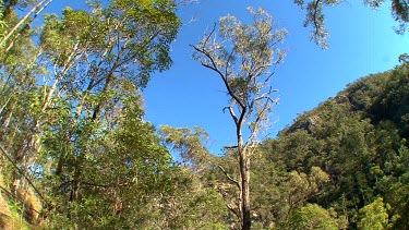 Cedar Creek Falls Mountain 1 fisheye pan