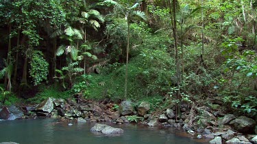 Curtis Falls from lookout pan 1