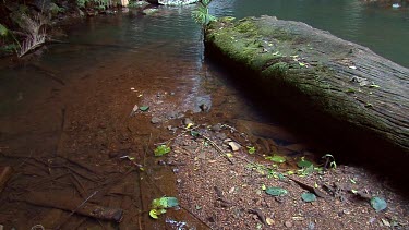 Curtis Falls from lookout tilt 1