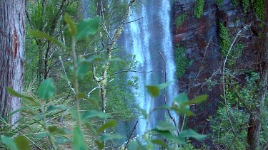Queen Mary Falls from top among vegetation tilt up