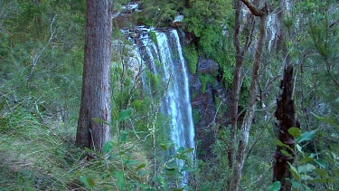 Queen Mary Falls from top among vegetation wide