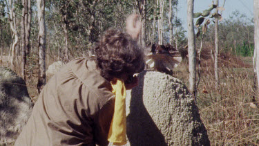 densey clyne photographing Frill-necked lizard