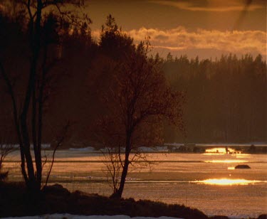 Sunset. Forest, lake plants in silhouette. Glistening orange red light reflecting on still lake