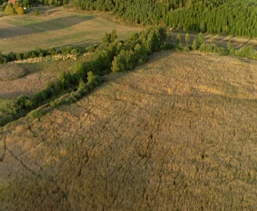 Aerial forest and land cleared for agriculture.