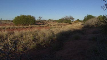 Dry landscape