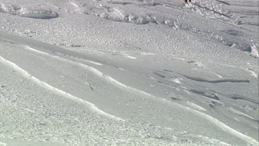 Aerial of Mount Everest: Group of Climbers