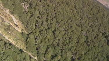 Aerial of Mount Everest - in the lower zone