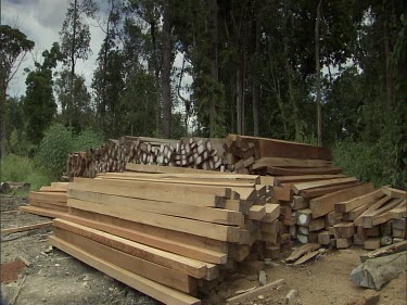 logs cut into planks.