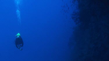 Scuba diver swimming slowly along coral wall drop-off in the Red Sea