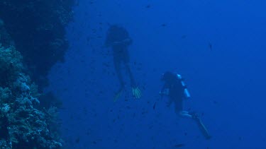 Pair of scuba divers in the Red Sea. Coral Reef Drop-off